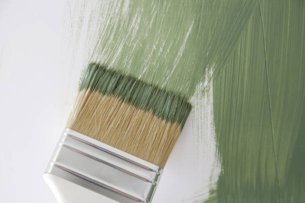 Best Mold Odor Removal Services  in Carmi, IL