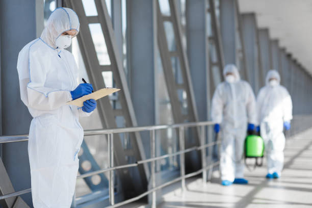 Best Environmental Consulting for Mold Prevention  in Carmi, IL