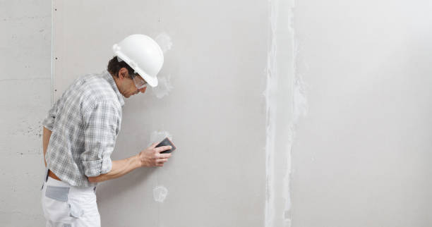 Best Asbestos and Lead Testing During Mold Inspection  in Carmi, IL