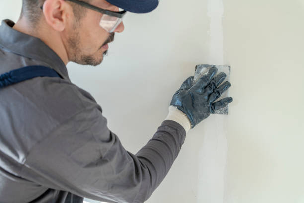 Mold Remediation for Rental Properties in Carmi, IL