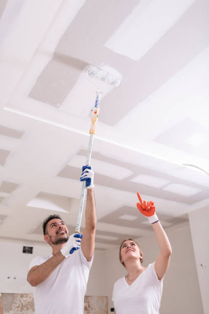Best Mold Damage Restoration  in Carmi, IL