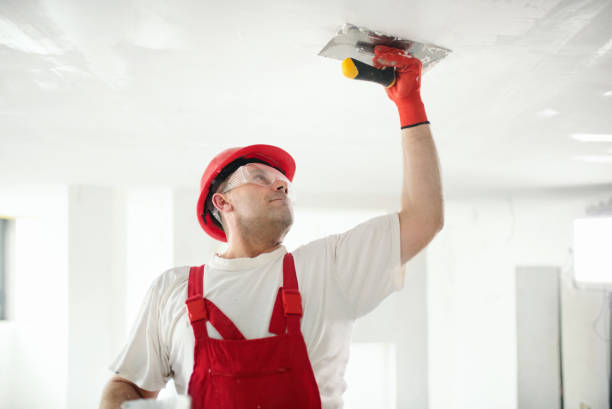 Best Attic Mold Removal  in Carmi, IL