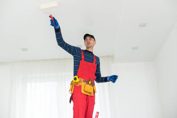 Best Real Estate Mold Inspection  in Carmi, IL