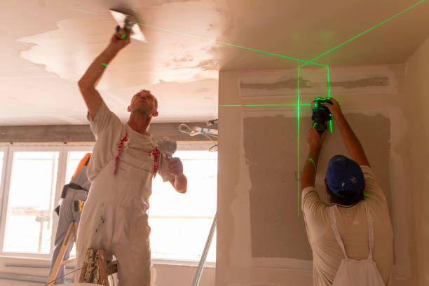 Best Commercial Mold Inspection  in Carmi, IL