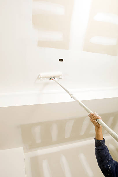 Best Biohazard Mold Removal  in Carmi, IL
