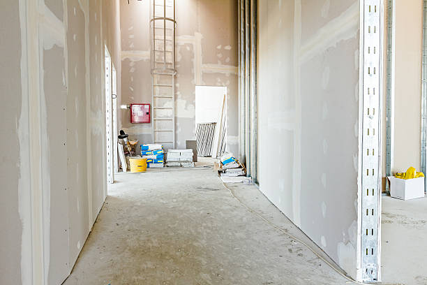 Best Airborne Mold Testing  in Carmi, IL